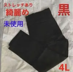 【未使用】レディース　カジュアルパンツ　スキニーパンツ　ストレッチ4Lブラック