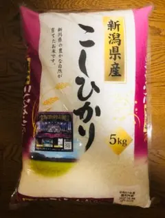 Saga Rice さがびより 15kg - メルカリ
