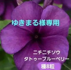 ゆきまる＊プロフ必読様 リクエスト 2点 まとめ商品