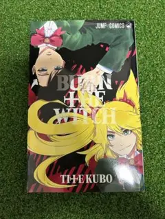 BLEACH artbook JET BURN THE WITCH 同封 BLEACH artbook JET BURN THE WITCH 同封 BLEACHイラスト集 JET