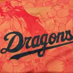 Item thumbnail for item 10d225ac-f6df-4766-adba-f3a1615cfd11