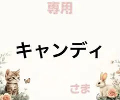 専用