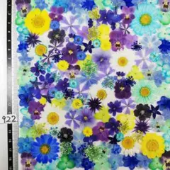 押し花素材　NO922 ノースボール ビオラ 紫陽花　バーベナ 小花　 押し花