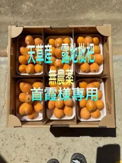 首霞様専用　天草産露地枇杷　無農薬　2.6kg