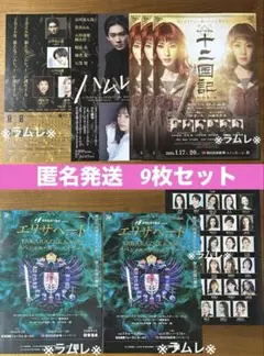 『ハムレット』『十二国記 ‐月の影 影の海‐』『エリザベート』3公演計9枚セット
