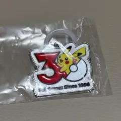 ポケモン30周年 メタルチャームマスコット ピカチュウ