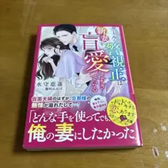 クールな警視正は新妻を盲愛しすぎている