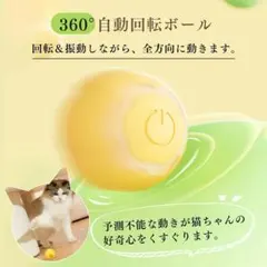 Item thumbnail for item e5568bee-6954-4fc7-8fe6-8d26cec88d7f