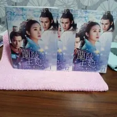 蘭陵王妃 DVD 全23巻 レンタル落ち 日本語字幕 ケ―ス込み - メルカリ
