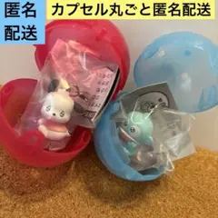 サンリオ めじるしアクセサリー　ハンギョドン　ポチャッコ