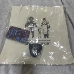 岩田剛典 SPACE COWBOY プレミアムチケット グッズ