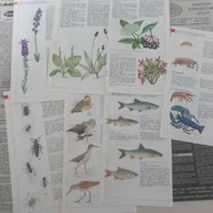 buru様 リクエスト 6点 まとめ商品