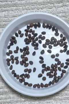 妙見堂様 リクエスト 3点 まとめ商品