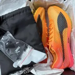 Item thumbnail for item f849b69f-3d1a-472c-baa4-bb90e037e6f7