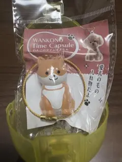 わんこのタイムカプセル 柴犬 まめ