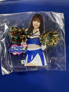 中日ドラゴンズ チアドラ アクリルスタンドセット　MIZUKI RIKO他 中日ドラゴンズ チアドラ アクリルスタンドセット MIZUKI RIKO他