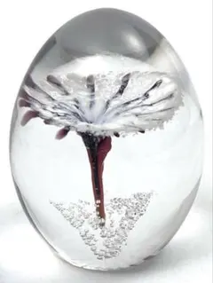 2025年最新】DAUM クリスタルの人気アイテム - メルカリ