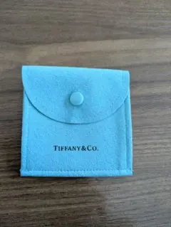Tiffany & Co. 水色スエードポーチ