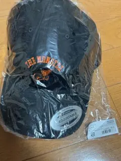 Item thumbnail for item a28ebcd0-7fc2-4857-84c3-725084500bd6