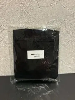 Item thumbnail for item aa681f65-b31c-40ce-b557-fac5bfb3370f