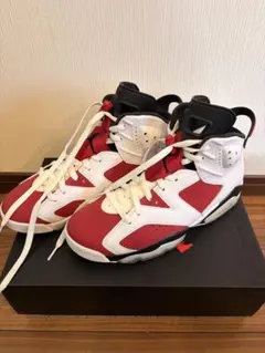 NIKE Air Jordan 6 AJ6 ゲータレード カーマイン27.5cm - メルカリ