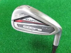 Item thumbnail for item 6f413513-164d-4309-a1d6-d973a8840cfb