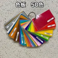 色板 50色　知育玩具　モンテッソーリ教具　手作り玩具　ハンドメイド　保育　療育