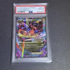 ガブリアスC LV.X #007 PSA10 1ed ガブリアスC LV.X #007 PSA10 1ed - メルカリ