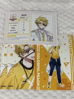 カラフルピーチ からぴち たっつん ブロマイド まとめ売り