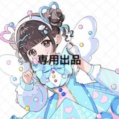 専用出品