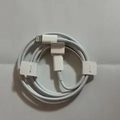 純正 新品未使用 美品 Lightningケーブル タイプc