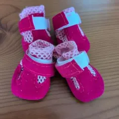 ドッグシューズ　Sサイズ