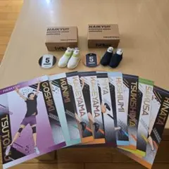 ハイキューミニチュアシューズコレクション 赤葦・田中 （アニメイト特典付き）