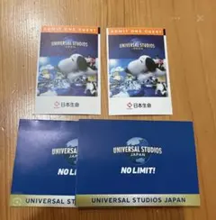 ユニバーサル・スタジオ・ジャパン1dayパス2枚のサムネイル