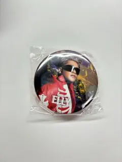 ELLY 缶バッジ2個セット スタジアム ガチャ