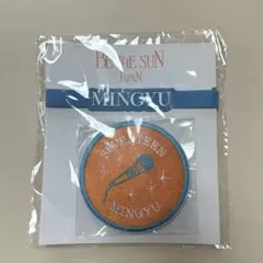 SEVENTEEN ミンギュ　ワッペン　デコリング　BE THE SUN