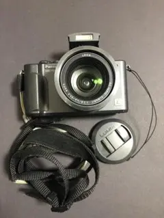 ぱ*む様 デジカメ　ジャンク　27点セット LUMIX 【いつでも+1％！5のつく日と日曜日は+2%！】【爆買