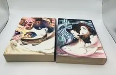 【希少】初版 夢幻外伝 I・II セット 高橋葉介