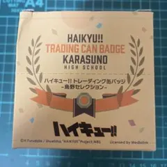 2025年最新】烏野の人気アイテム - メルカリ