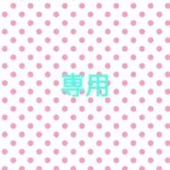 専用　980円→880円