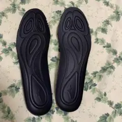 MIZUNO 未使用インソール