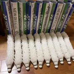 Item thumbnail for item ce503e83-d852-4a8c-be10-c7da0f6e6c09