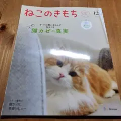 メインクーン様 リクエスト 3点 まとめ商品