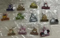 SEVENTEEN MINITEEN めじるしアクセサリー　コンプリート　ガチャ