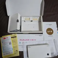 Nintendo DSi ホワイト 本体 付属品あり