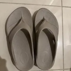 Item thumbnail for item 69d7f532-d558-42a1-bfcc-f7122436d743