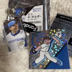 北海道日本ハムファイターズ 新庄剛志 BIGBOSS グッズセット - メルカリ