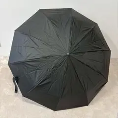 大判★自動開合 摺疊傘 晴雨兩用 雨傘 陽傘 10骨 超撥水 耐風 堅固