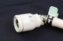 Item thumbnail for item 145a8db5-4982-4ae5-9c6a-8850dfeaf9f9