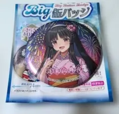 東方Project ダイソー Big ホログラム 缶バッジ 蓬莱山輝夜